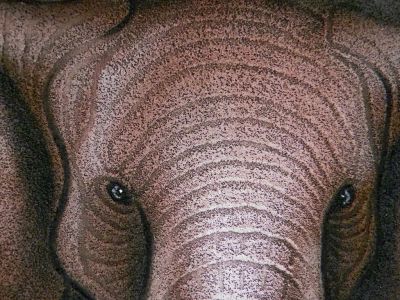 Elefantenkuh mit Kalb (75 cm x 95 cm)