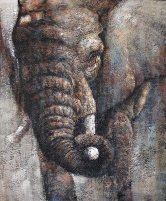 Old Elephant II ( 105 cm x 125 cm)