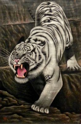 Tiger wei (106 cm x 155 cm)